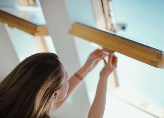 Ventanas de techo